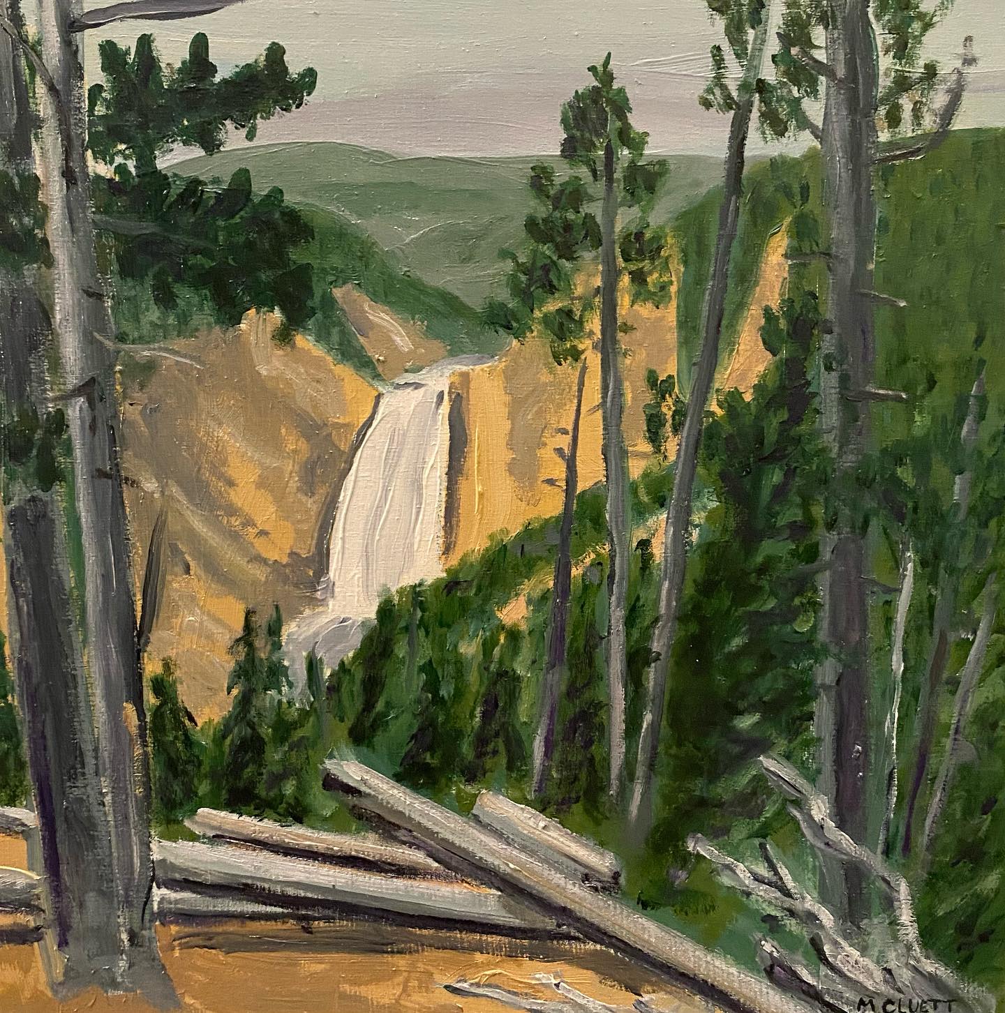 Yellowstone Falls
